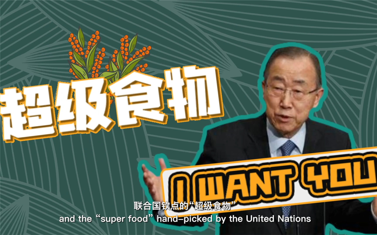 聯(lián)合國將藜麥視為抗擊饑餓的&ldquo;超級食物&rdquo;，大力推廣