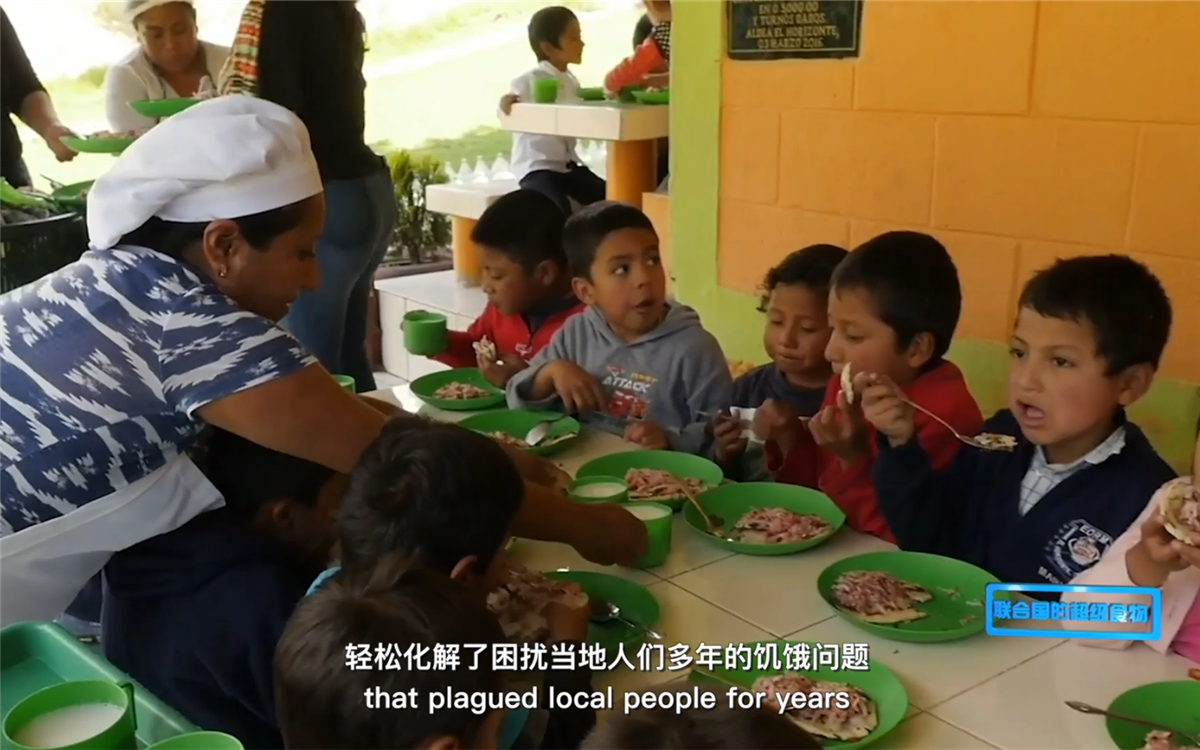 藜麥的蹤跡遍布北美、歐洲、亞洲和非洲多地