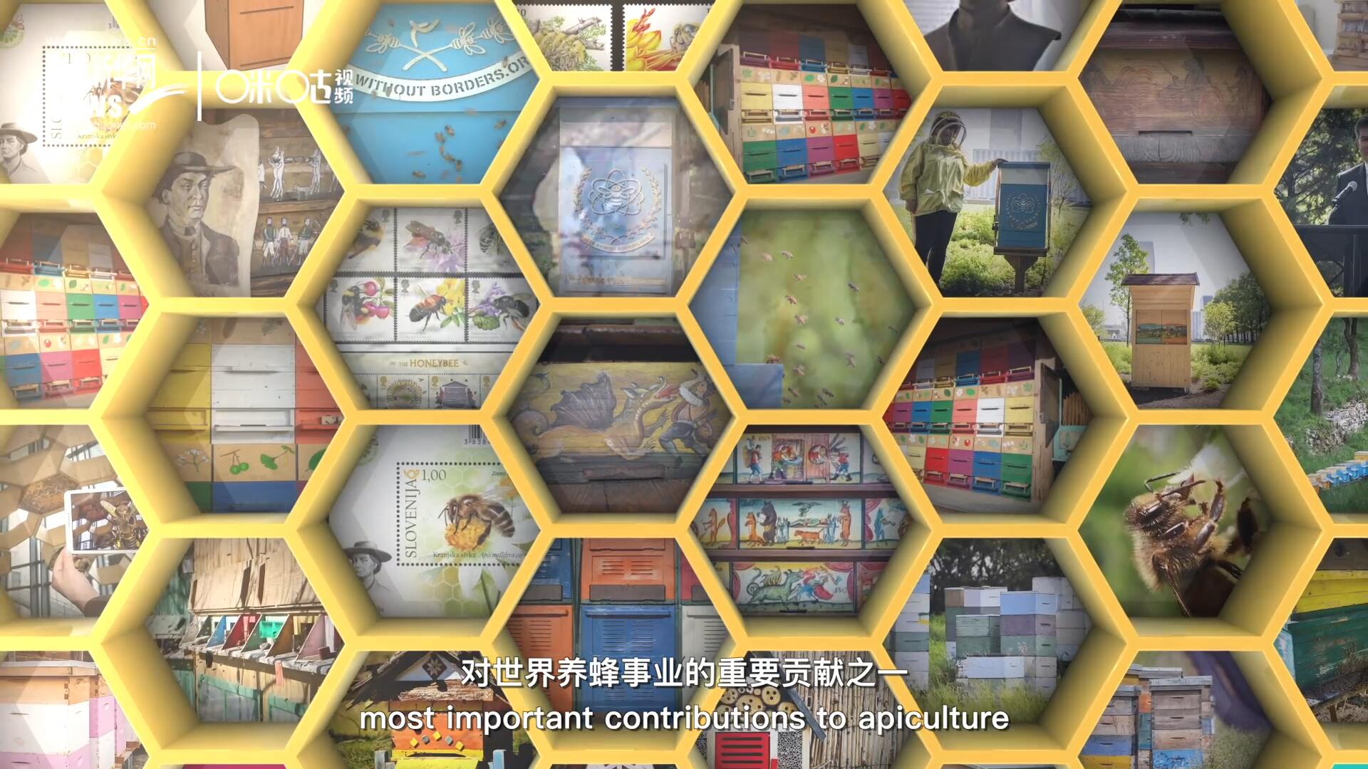 他開(kāi)始用色彩豐富的畫(huà)作來(lái)裝飾蜂巢的前板，幫助不同蜂群按照習(xí)性和顏色順利找到自己的蜂巢