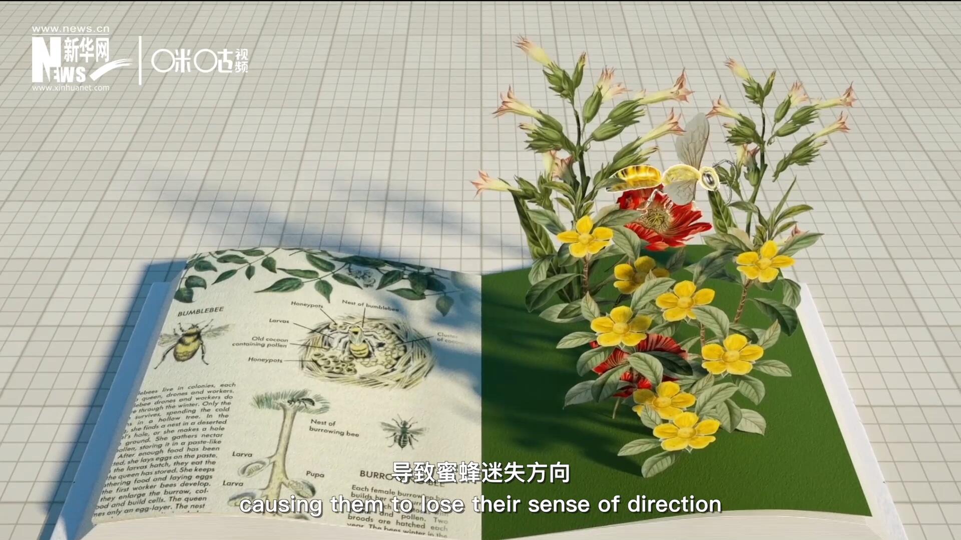 殺蟲(chóng)劑會(huì)破壞蜜蜂的神經(jīng)系統(tǒng)，導(dǎo)致蜜蜂迷失方向，無(wú)法回到蜂房，還會(huì)降低蜜蜂的抵抗力