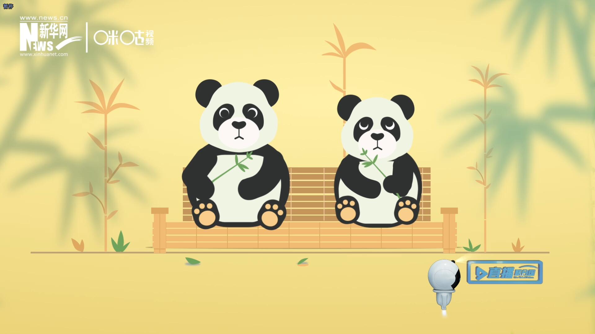 &ldquo;哥哥你看，又有人來看我們了。&rdquo;&ldquo;有什么奇怪的，我們可是聯(lián)合國&lsquo;最萌&rsquo;的大使啊！&rdquo;。