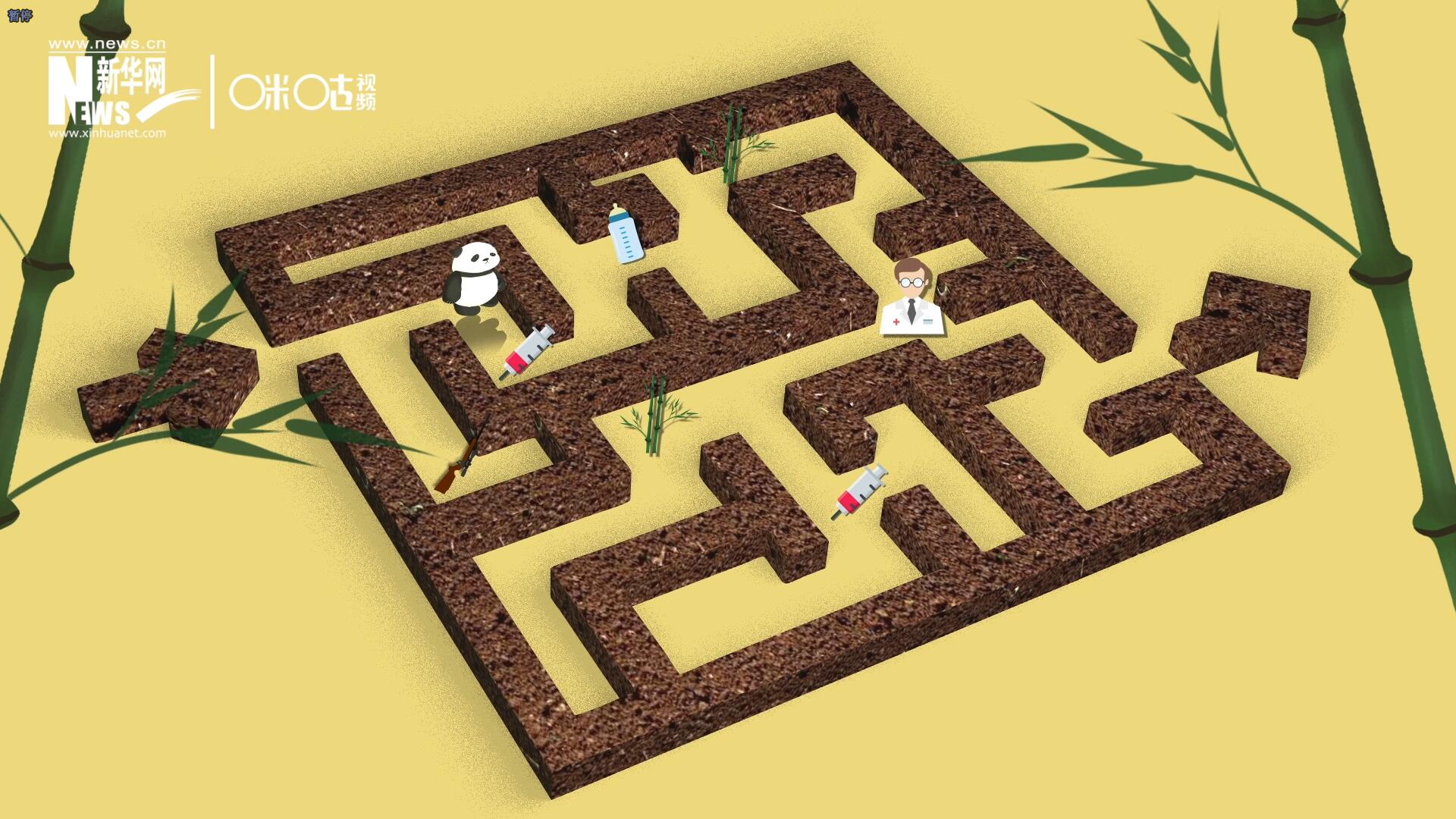 2016年，國際自然保護(hù)聯(lián)盟將大熊貓的物種瀕危等級，從&ldquo;瀕危&rdquo;下降到了&ldquo;易危&rdquo;。