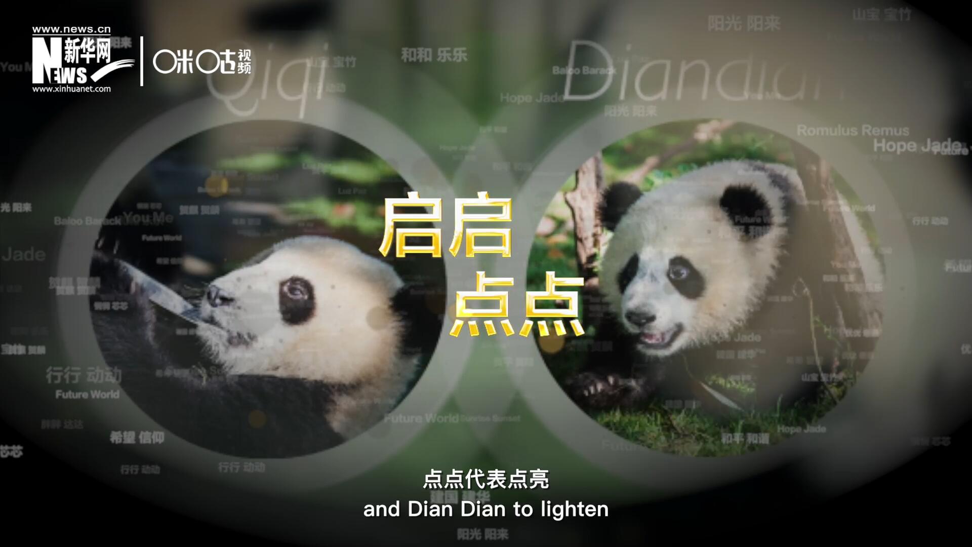 啟啟代表&ldquo;啟發(fā)&rdquo;，點(diǎn)點(diǎn)代表&ldquo;點(diǎn)亮&rdquo;，象征著2030年可持續(xù)發(fā)展議程 的&ldquo;起點(diǎn)&rdquo;，也象征著全球可持續(xù)發(fā)展路徑的新起點(diǎn)。