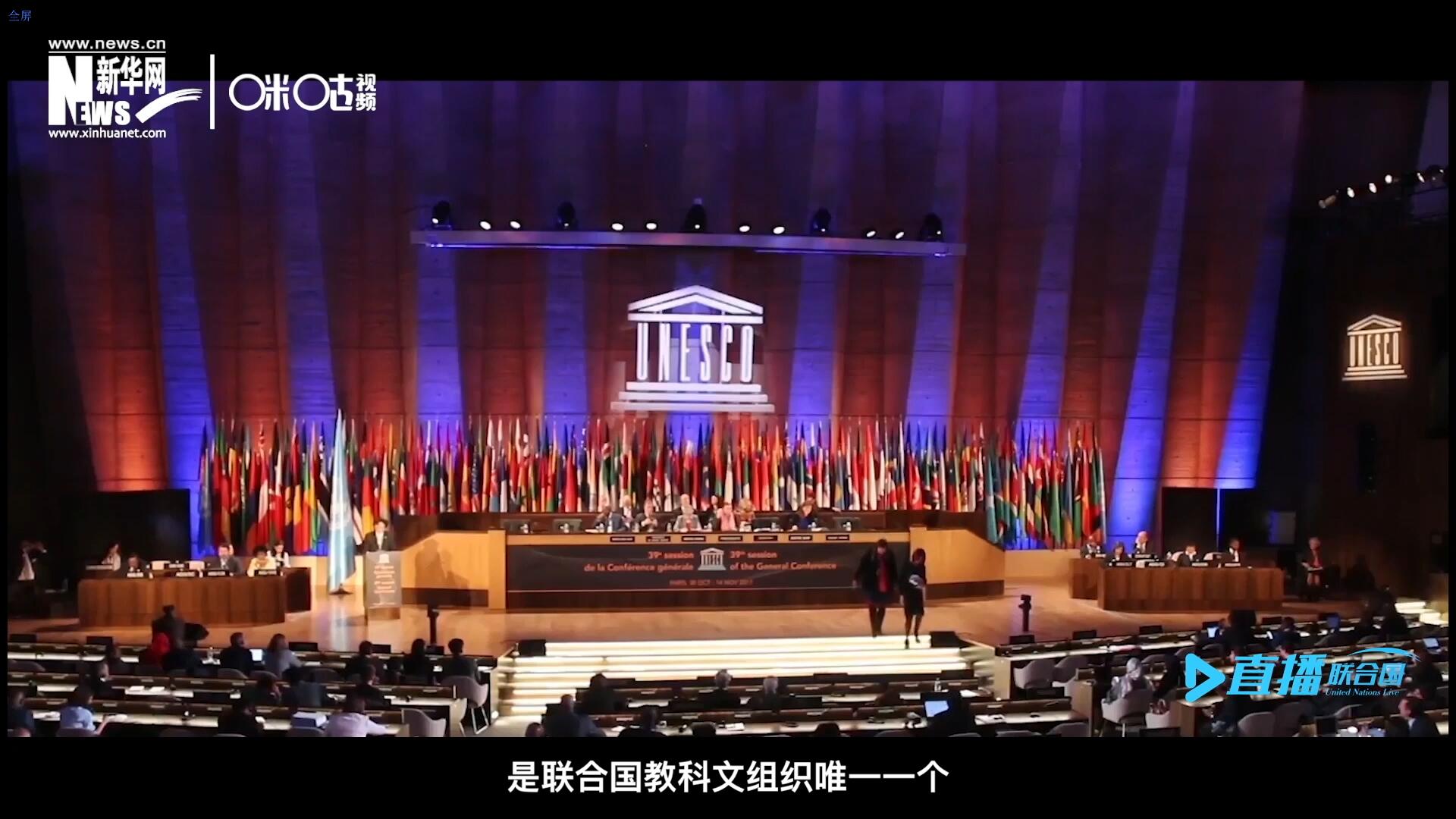 民間藝術(shù)國際組織成立于1979年，是聯(lián)合國教科文組織唯一一個(gè)以保護(hù)和挖掘國際民間藝術(shù)為工作中心的國際機(jī)構(gòu)。