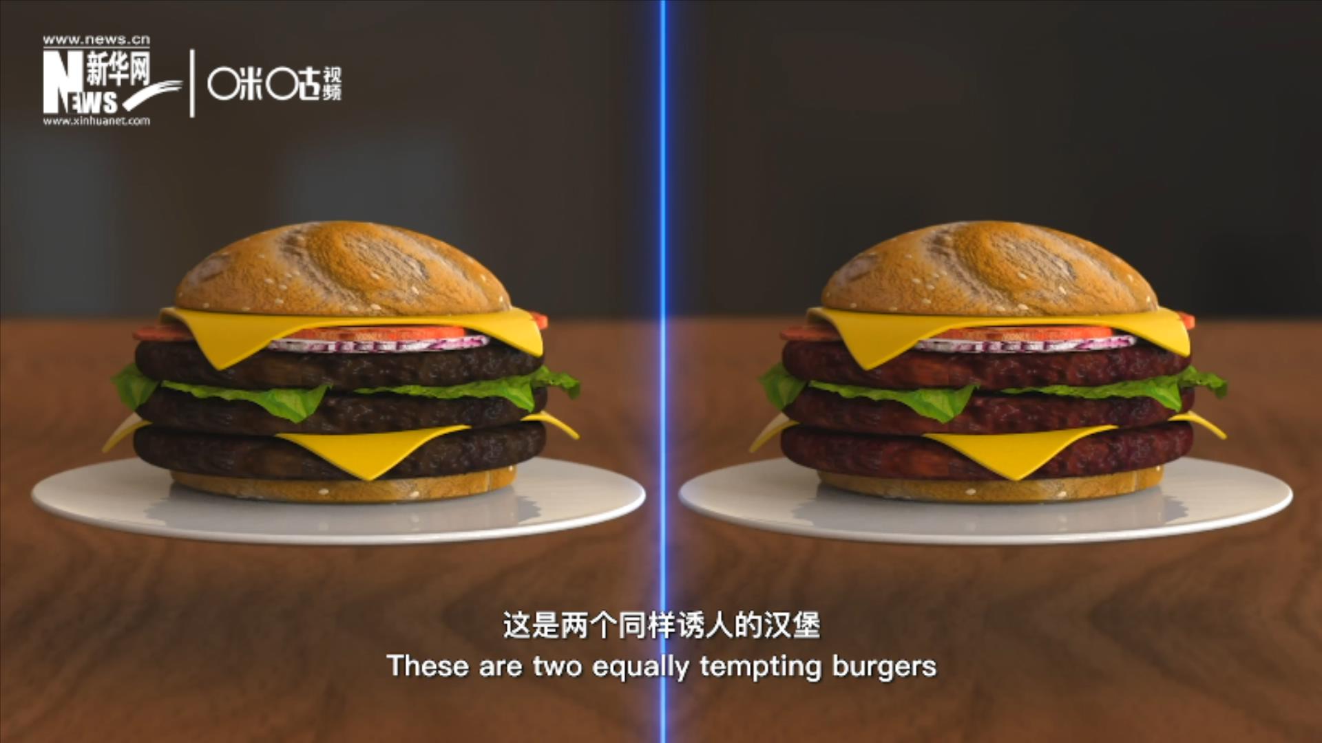 人造肉漢堡能在生產(chǎn)過程中節(jié)約水、土地、排放以及能量