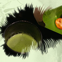 熱茶與伏天的關系，只有清涼