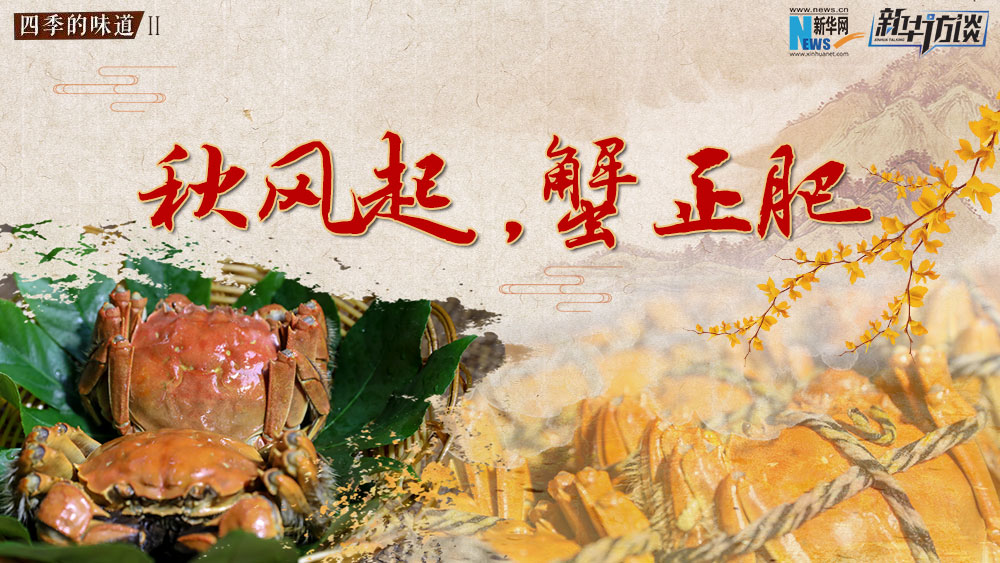 秋風(fēng)起，蟹正肥