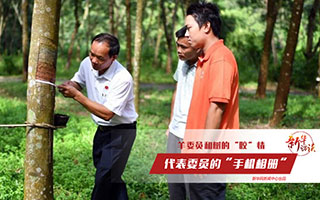 羊風(fēng)極和樹(shù)的&ldquo;膠&rdquo;情