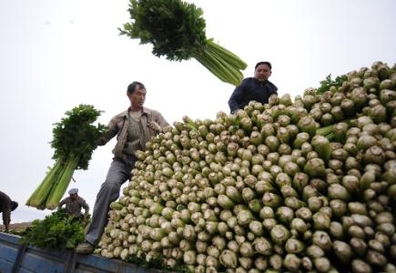 劉永富：發(fā)展產(chǎn)業(yè)脫貧仍是精準(zhǔn)扶貧、精準(zhǔn)脫貧主攻方向