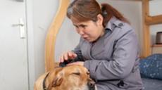 &ldquo;有你在身旁，真好&rdquo;