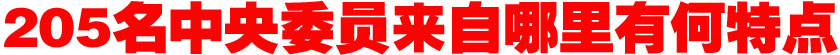 205名中央委員來自哪里？有何特點？