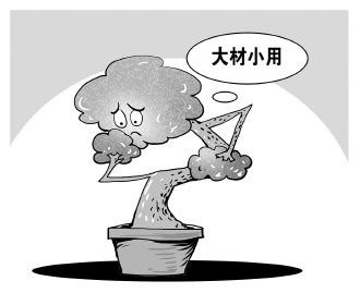 自認&ldquo;大材小用&rdquo;，不如腳踏實地