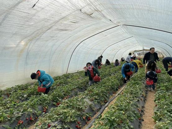 圖片.png 圖片.png