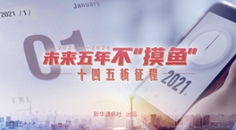 未來五年，不&ldquo;摸魚&rdquo;