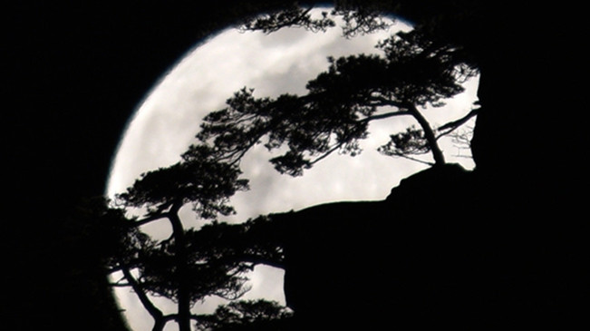 太驚艷！明月奇松 夢(mèng)幻同框