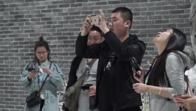 北京4月飄雪，鵝毛還是狂風任你呼喚