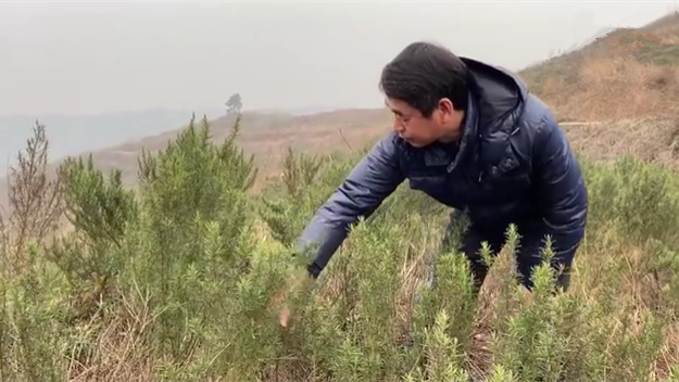 新春走基層｜脫貧后，駐村扶貧隊(duì)長在干啥？