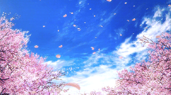 寧波這個(gè)地方早櫻花開(kāi)成海，滿(mǎn)足你對(duì)春天的所有想象