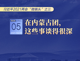 習(xí)近平2021兩會(huì)&ldquo;微鏡頭&rdquo;之三 3月5日 在內(nèi)蒙古團(tuán)，這些事談得很深