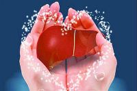 【健康解碼】轉(zhuǎn)氨酶正常肝臟就一定正常嗎？