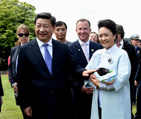 11月18日，國家主席習(xí)近平在澳大利亞塔斯馬尼亞州與朗塞斯頓市斯科奇－歐克伯恩小學(xué)的小學(xué)生共同植樹。這是習(xí)近平和夫人彭麗媛植樹后撫摸袋獾。新華社記者 饒愛民 攝