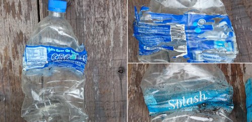 圖為社交網站上傳的在留尼汪島上發(fā)現(xiàn)的印尼產水瓶。