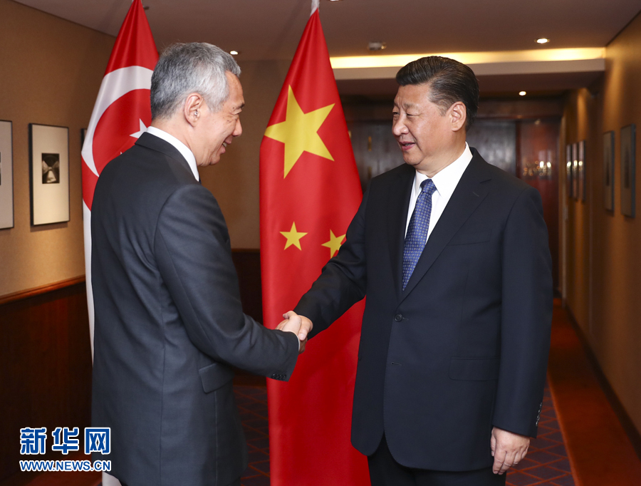 7月6日，國家主席習(xí)近平在漢堡會(huì)見新加坡總理李顯龍。 新華社記者謝環(huán)馳 攝