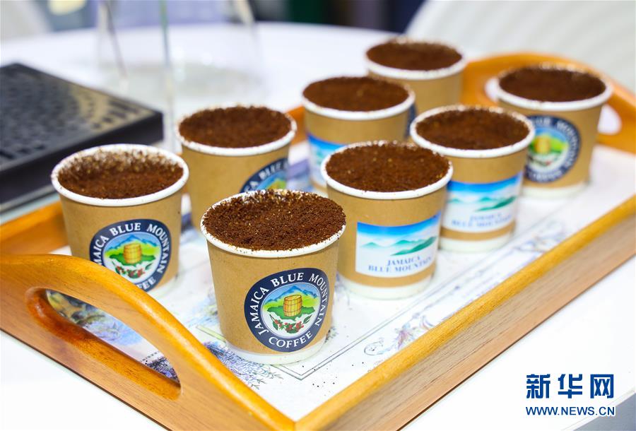 (新華全媒頭條·圖文互動(dòng))(15)人間正道 浩蕩前行——習(xí)近平主席出席首屆中國(guó)國(guó)際進(jìn)口博覽會(huì)紀(jì)實(shí)