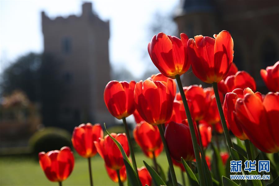 （國際&middot;北京世園會(huì)）（18）世界園林巡禮&mdash;&mdash;比利時(shí)拜加登城堡