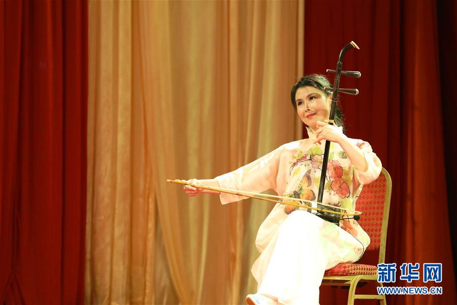 (國際·圖文互動(dòng))(2)“南京遇上內(nèi)羅畢”中肯聯(lián)合文藝演出在內(nèi)羅畢舉行