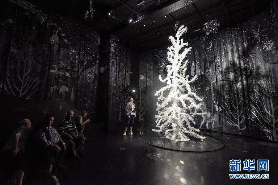 （國(guó)際）（2）探訪(fǎng)施華洛世奇水晶世界