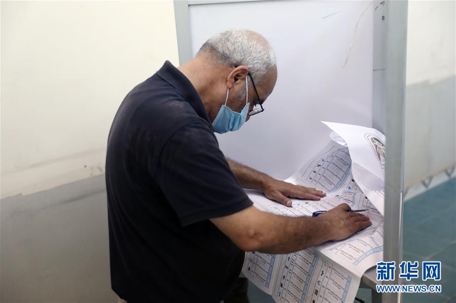 (國際)(6)埃及舉行議會(huì)上院選舉