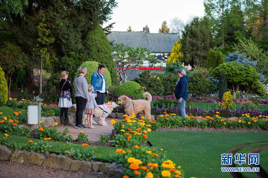 （XHDW&middot;圖文互動(dòng)）（3）通訊：&ldquo;無(wú)處不在的鮮花為我們帶來(lái)歡樂(lè)和希望&rdquo;&mdash;&mdash;&ldquo;小人國(guó)&rdquo;里的堪培拉花展