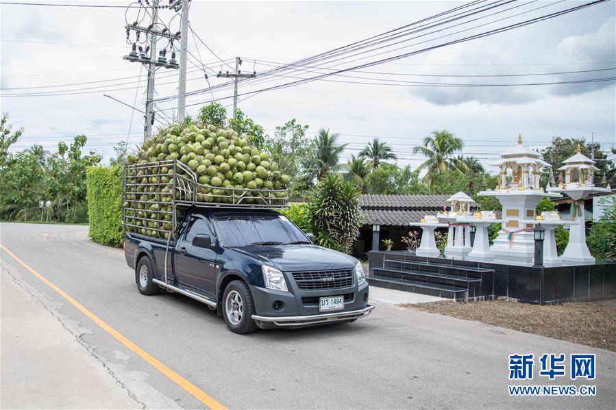 (第三屆進(jìn)博會(huì)·圖文互動(dòng))(1)通訊:椰香飄進(jìn)進(jìn)博會(huì) 市場(chǎng)開放共繁榮——一名泰國(guó)椰商的心聲