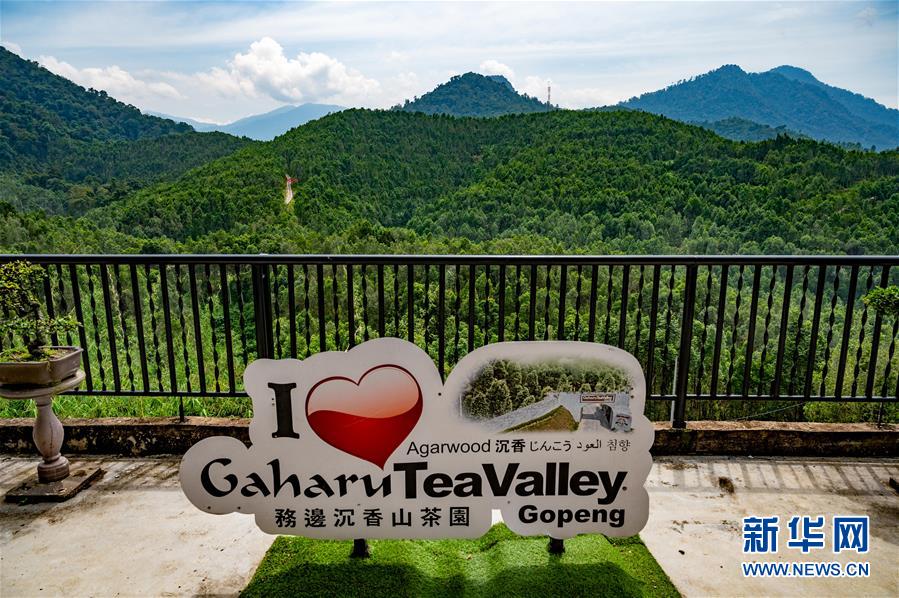 （第三屆進博會&middot;圖文互動）（11）專訪：進博會提供了一個共享中國發(fā)展機遇的平臺