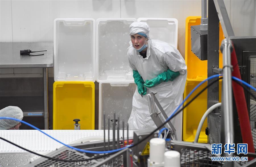 （第三屆進(jìn)博會&middot;圖文互動）（2）通訊：新西蘭的進(jìn)博會味道，甜