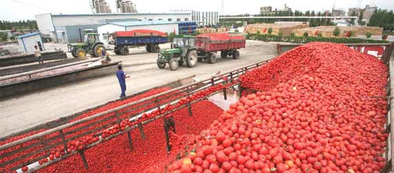 中國(guó)推動(dòng)構(gòu)建共贏、互信、發(fā)展的新絲綢之路