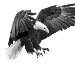 誰是世界秩序的真正破壞者？