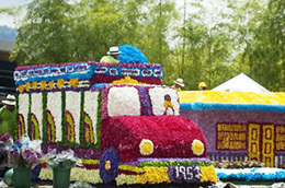 哥倫比亞鮮花游行 慶祝傳統(tǒng)&ldquo;鮮花節(jié)&rdquo;