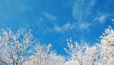 湖北?？蹈呱届F凇美如畫