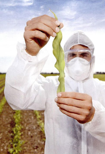 轉基因&ldquo;轉&rdquo;的是什么？