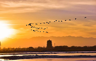 你想看的風(fēng)景，這里都有